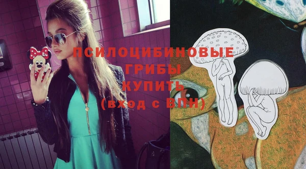 МДПВ Михайловка