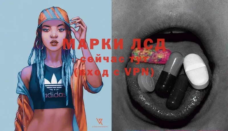 ЛСД экстази ecstasy  продажа наркотиков  Александровск-Сахалинский 