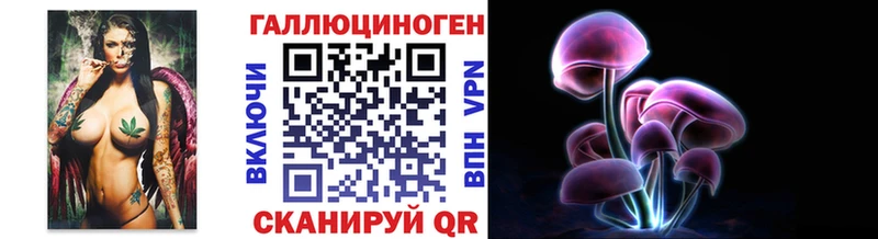 Псилоцибиновые грибы Psilocybe закладка Александровск-Сахалинский